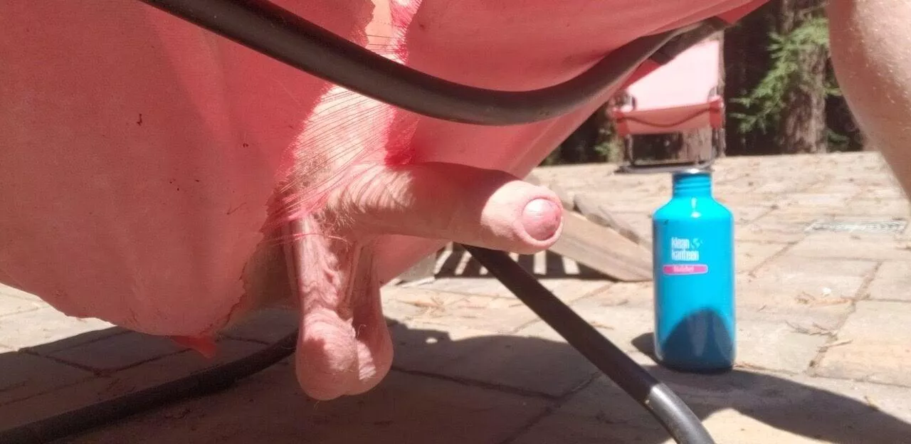 Sunbathing is always best when the neighbors are home ;) posted by AmericockInTheUK