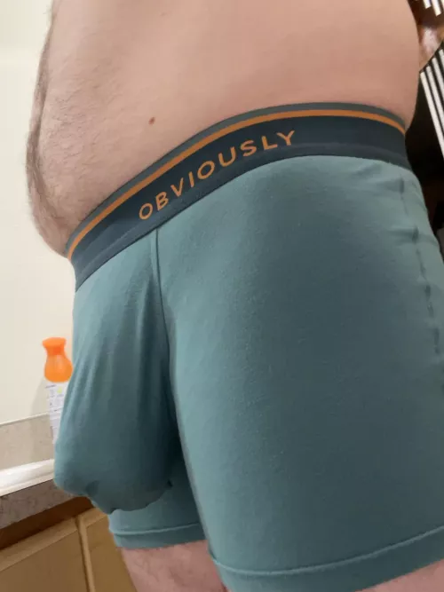 Underwear bulge by South_Moment_269