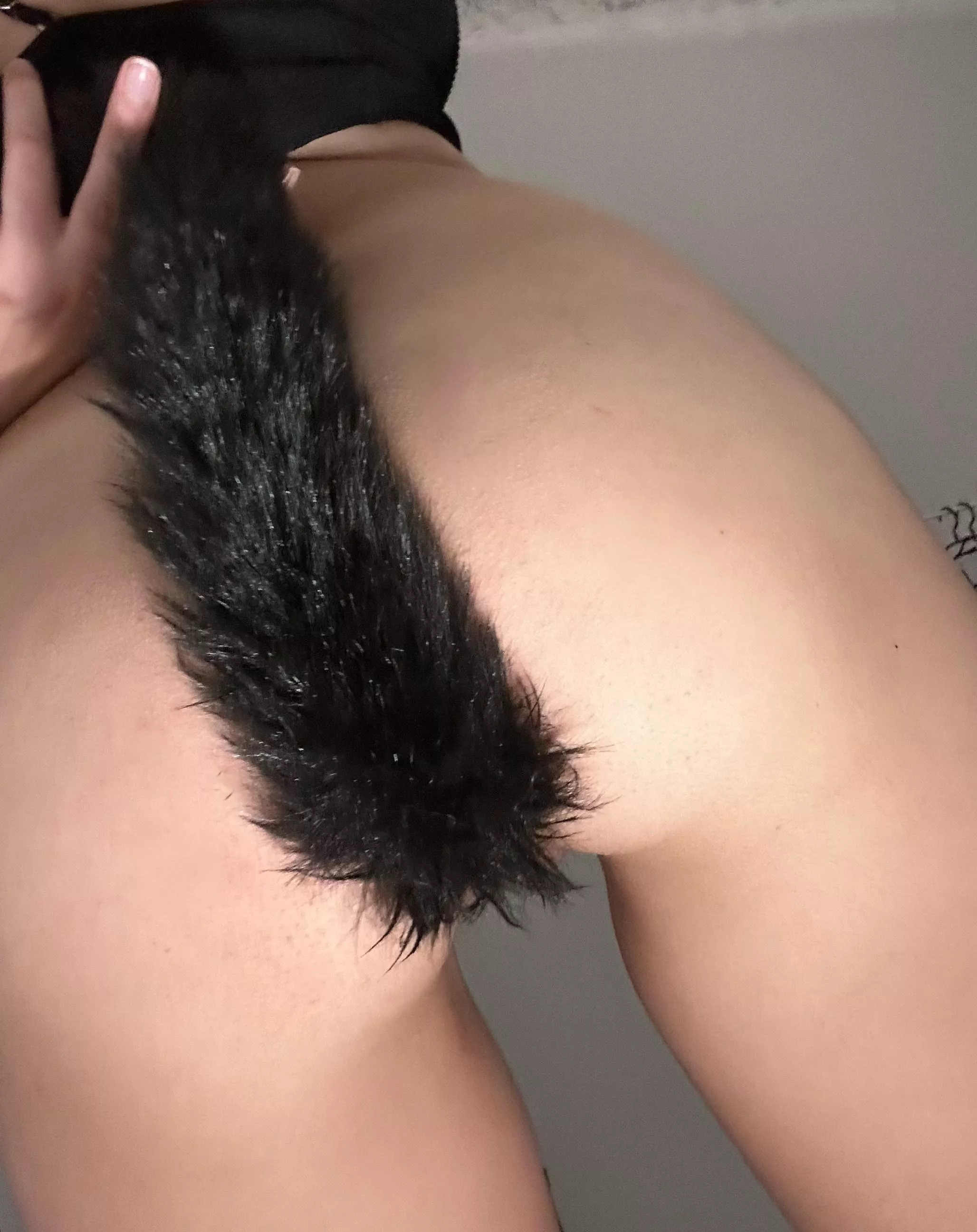 When my tail plug is in my asshole then playing with my pussy becomes even more enjoyable posted by incrediblehaze