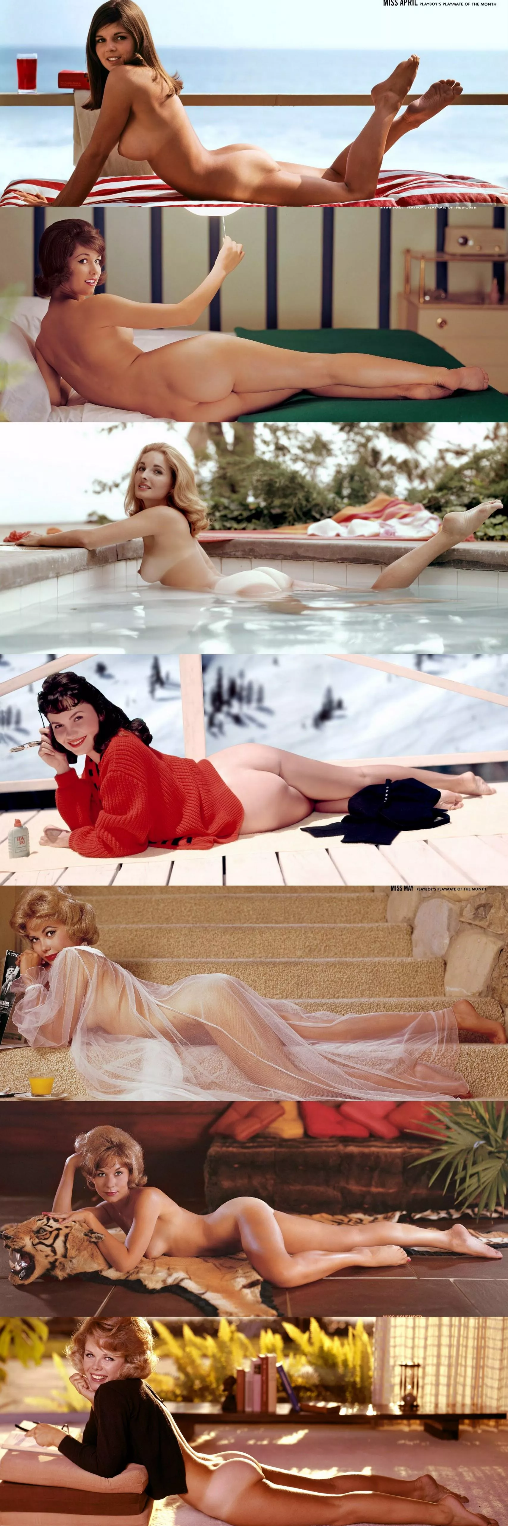 1960's Playmates horizontally ... they could represent! posted by Mental_Machine8540