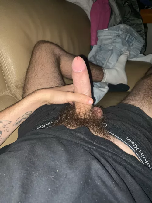 26 sc joho2611 need some hairy bros  by Complete-Beginning47