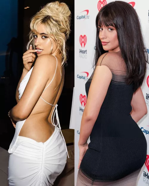 Blonde or Brunette Camila Cabello?  by Effective-Ladder-172