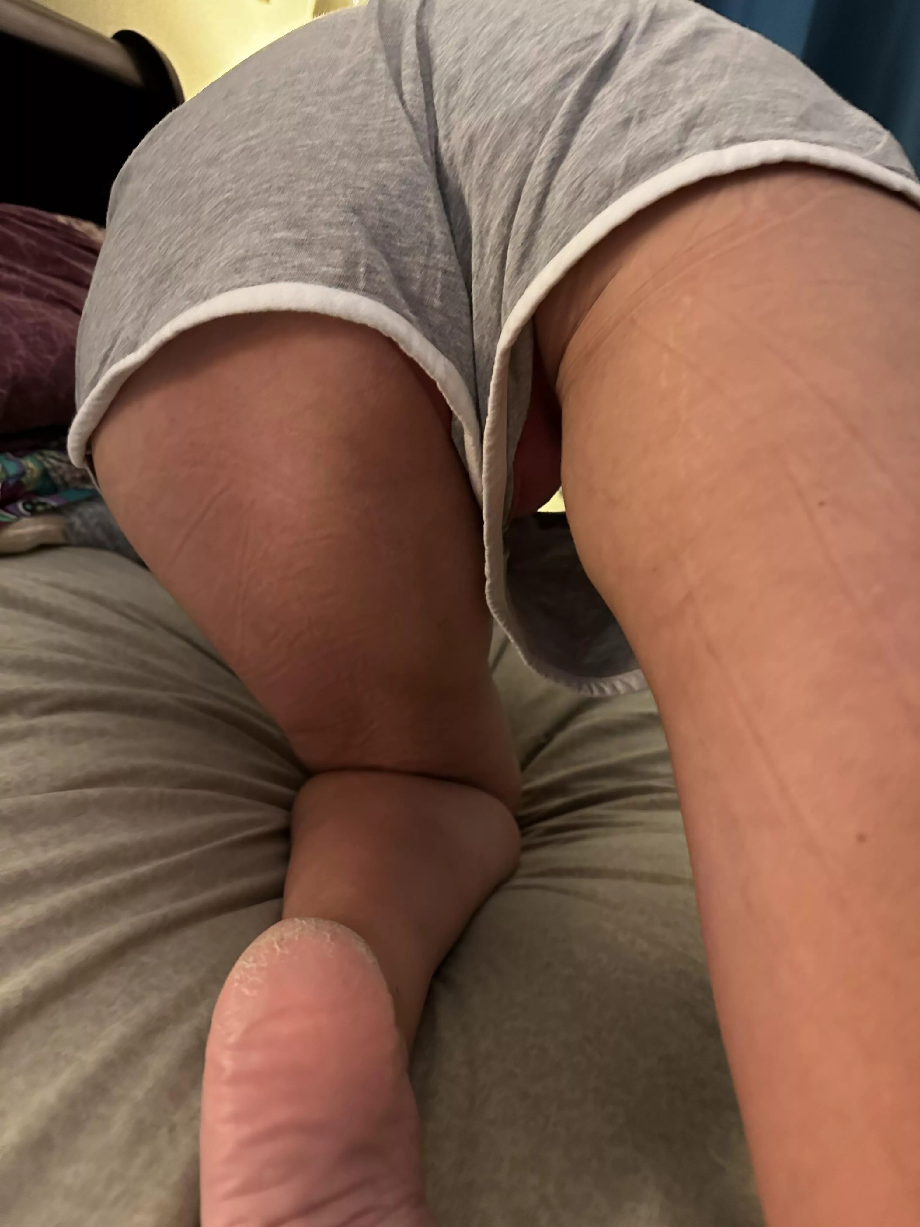 Lazy Saturday morning… posted by Milehighcatmom