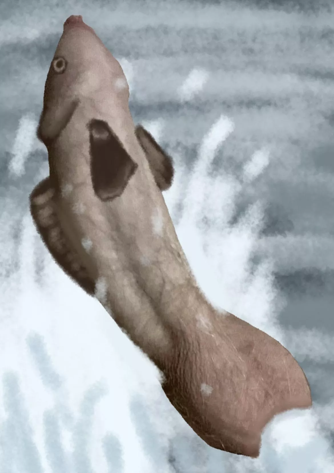 Someone said my dick looks like a fish emerging from water… posted by GlumIndividual5323