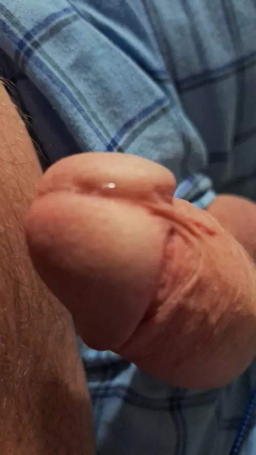 61 still leaking. And sweet tasting.  by Local-Sir-384