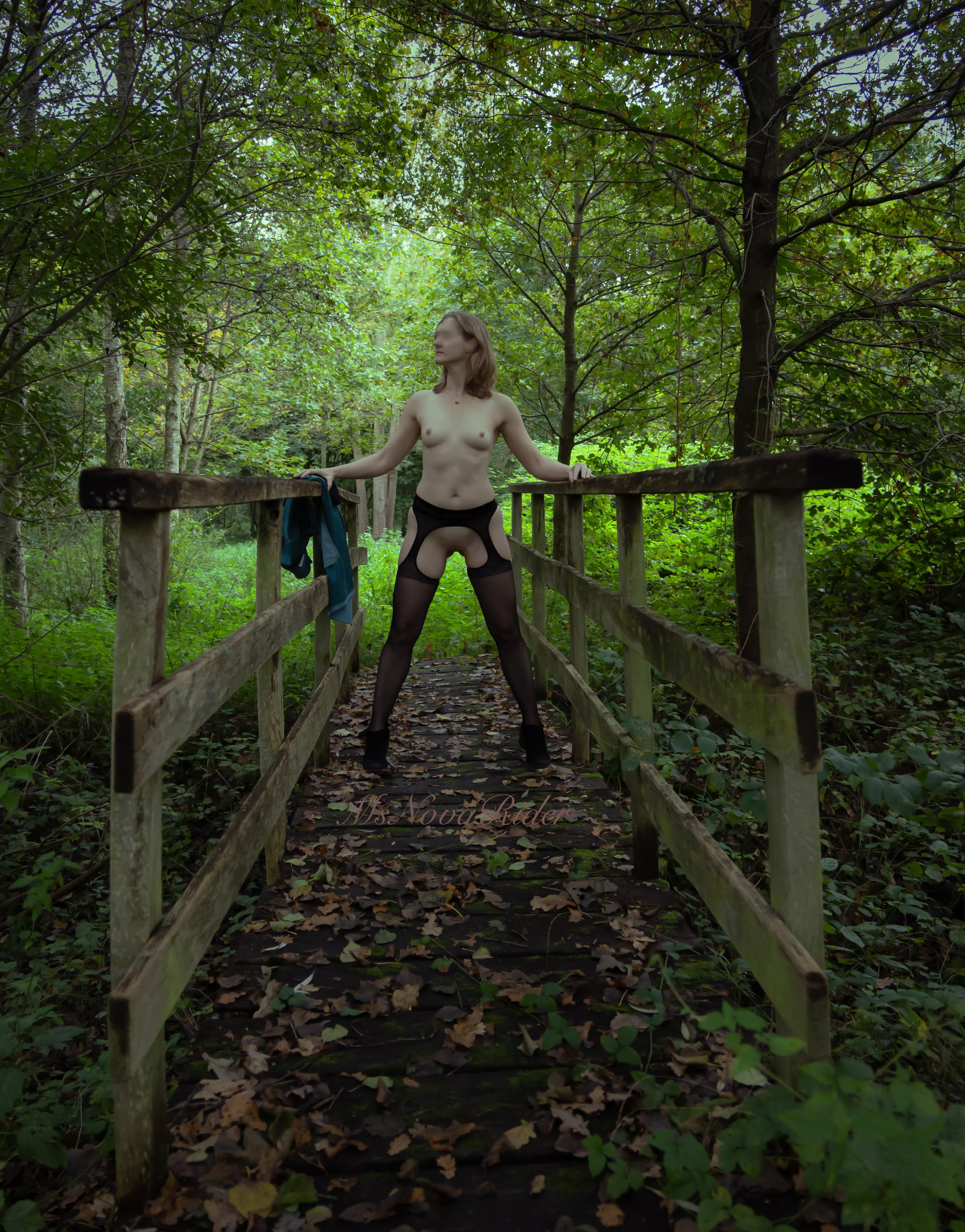 Found a small wooden foot bridge posted by msnovarider