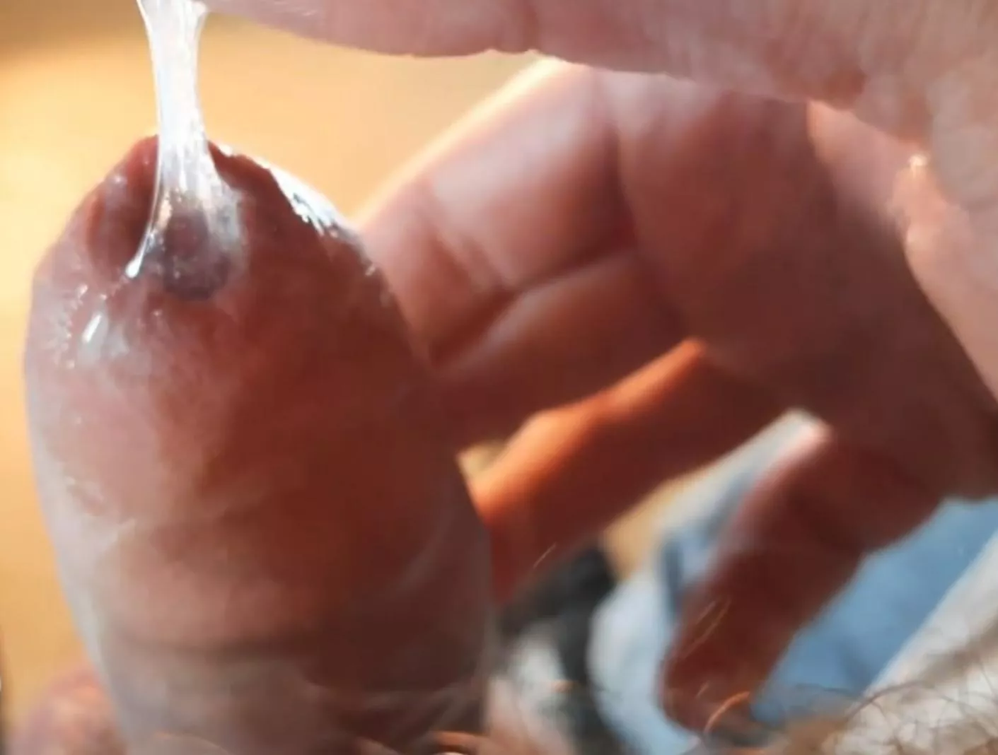 Such tasty pre cum (NOT MINE)  posted by Jordann563