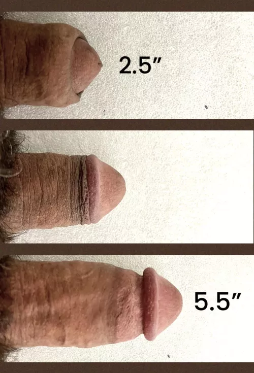 Averagepenis Grower by yamabudo