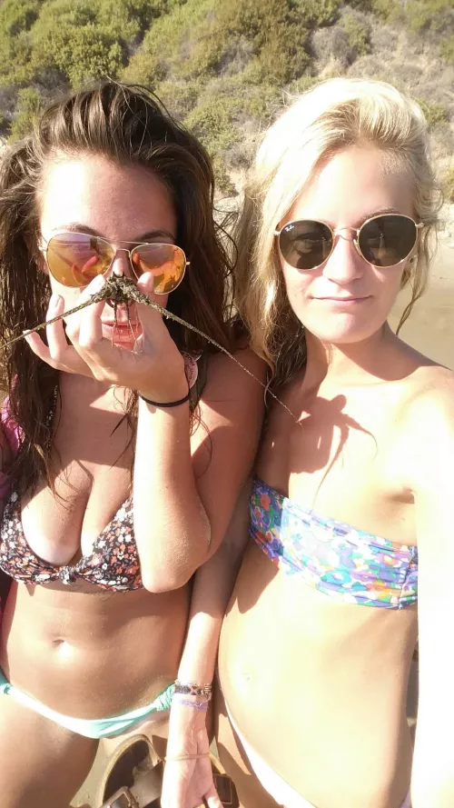 Ex best friends for a reason by BlueDream4757