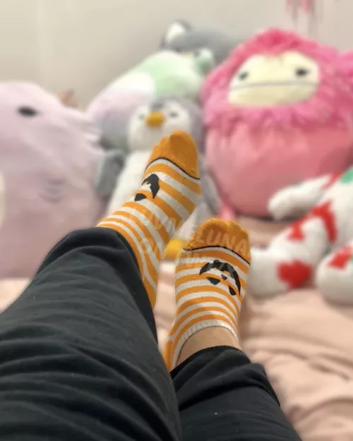 finally pulled out my spooky month socks 🎃 by cycleluv