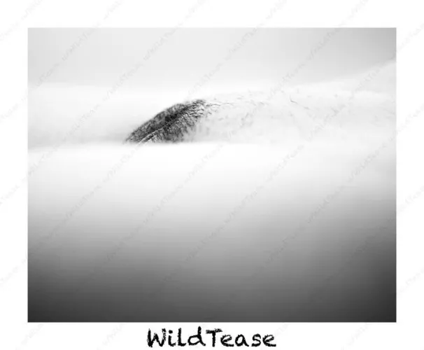 Happy Friday. (f) [OC] by WildTease