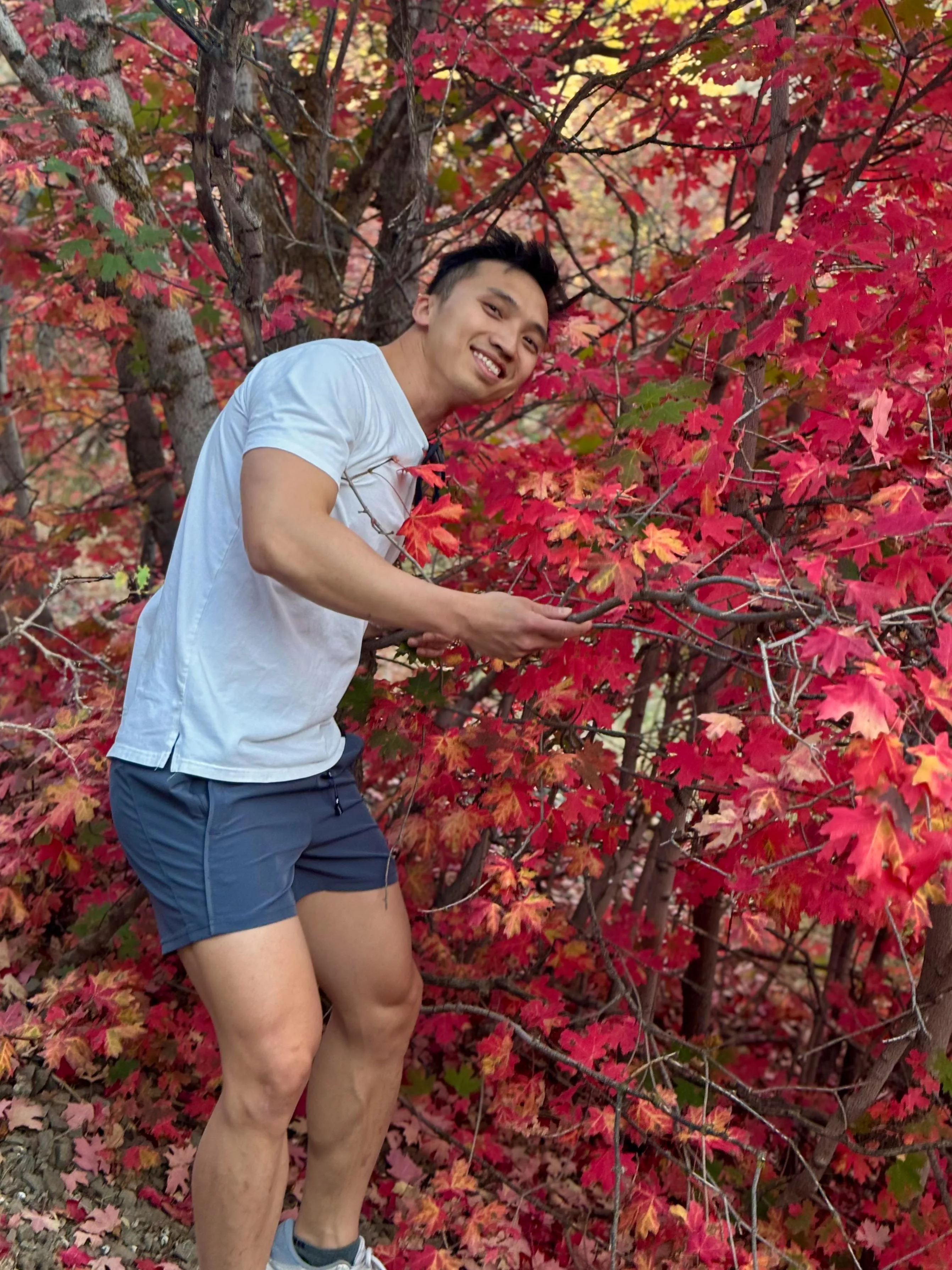 My favorite season 🍁☺️ posted by anhphanbb