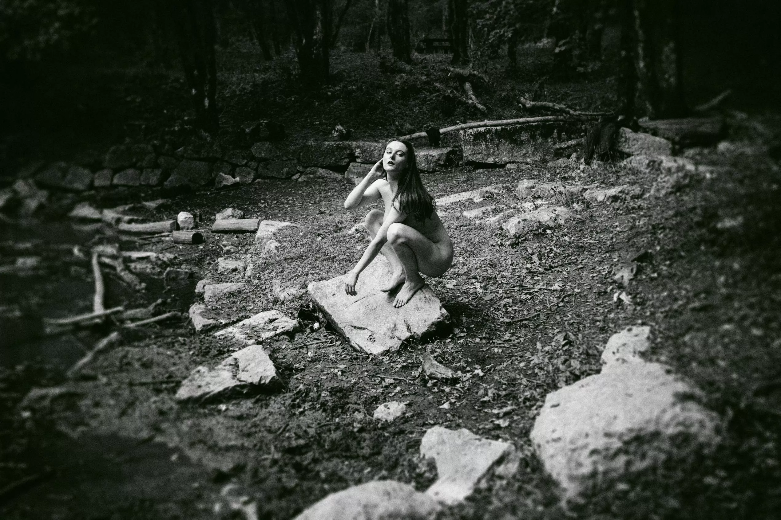 On rock Volume 1... posted by pokemon_art_45