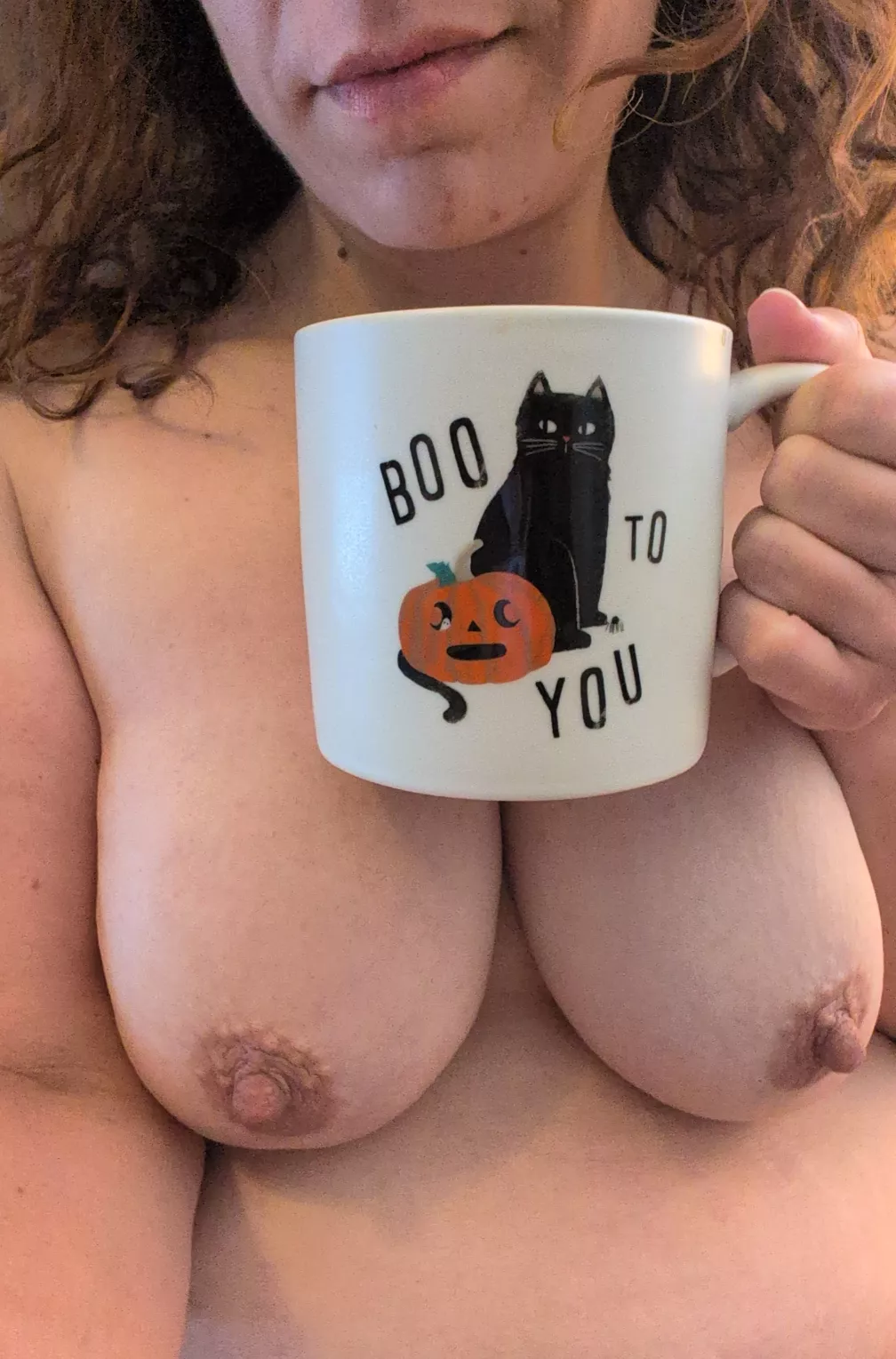 Pumpkin spice, a seasonal mug, and free nipples just hits right. ☕🍂🎃 posted by ClockMaterial1132