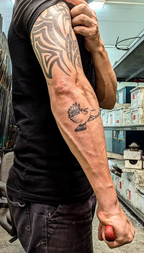 (42) that vein looks pretty good, i think by AMPE82