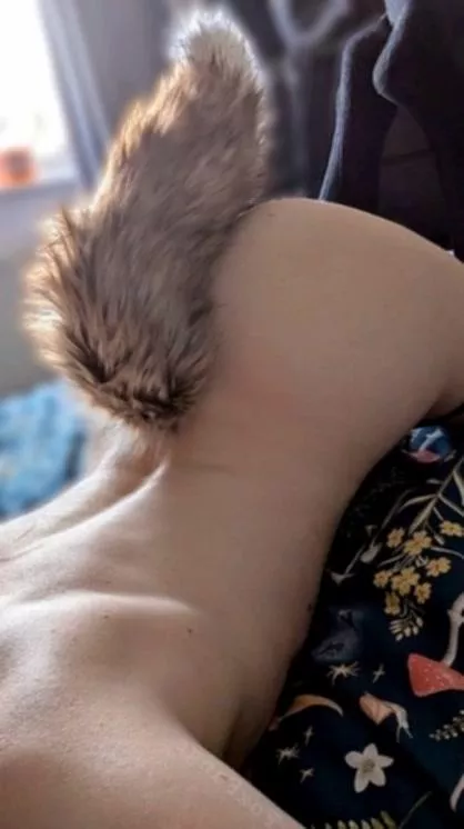 A kitten who likes to play games posted by lovelyyyamber