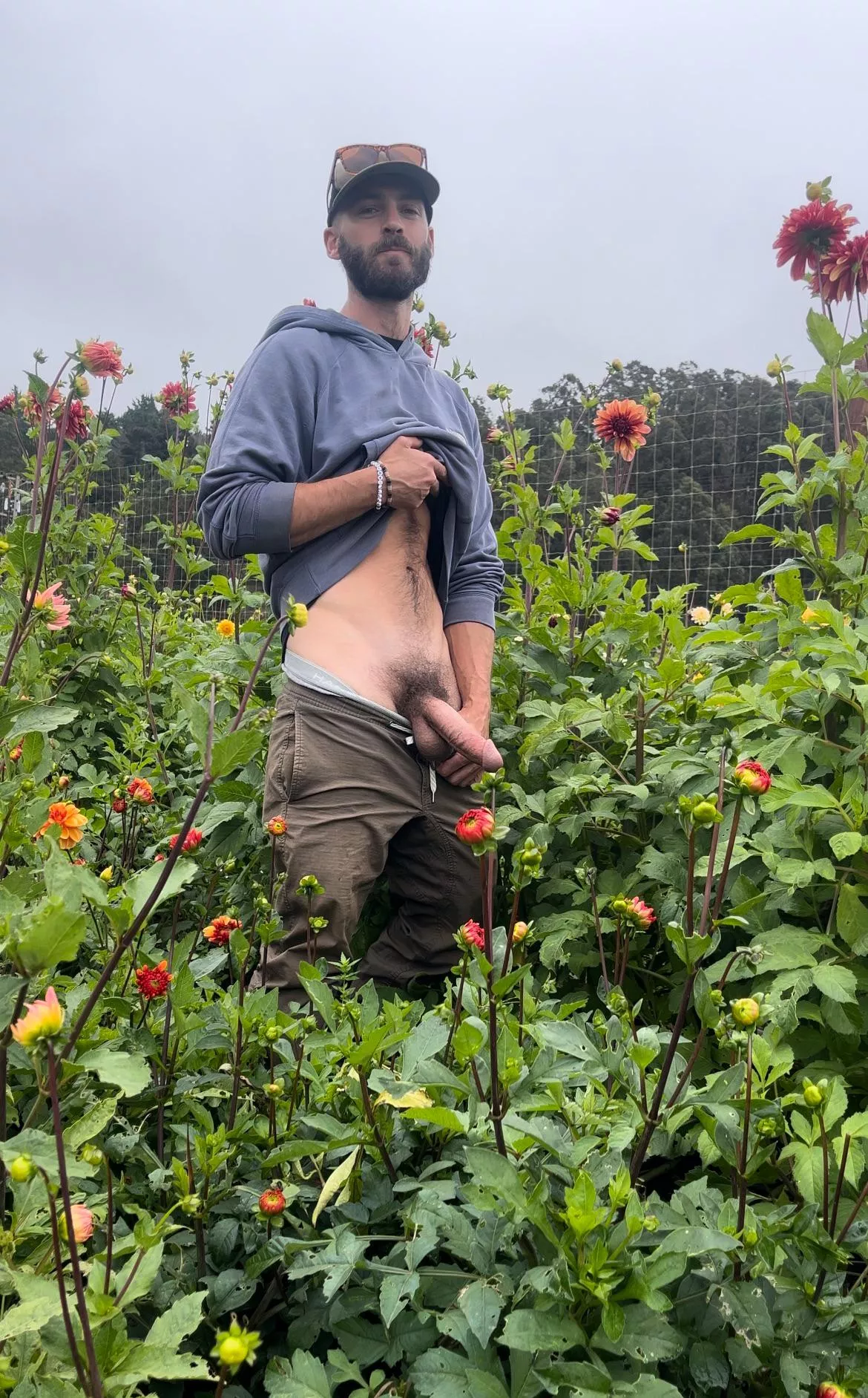 Cock and flowers  posted by Mountainman220