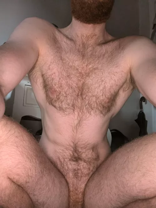 Do you like my fur ?  by hairygingerbloke