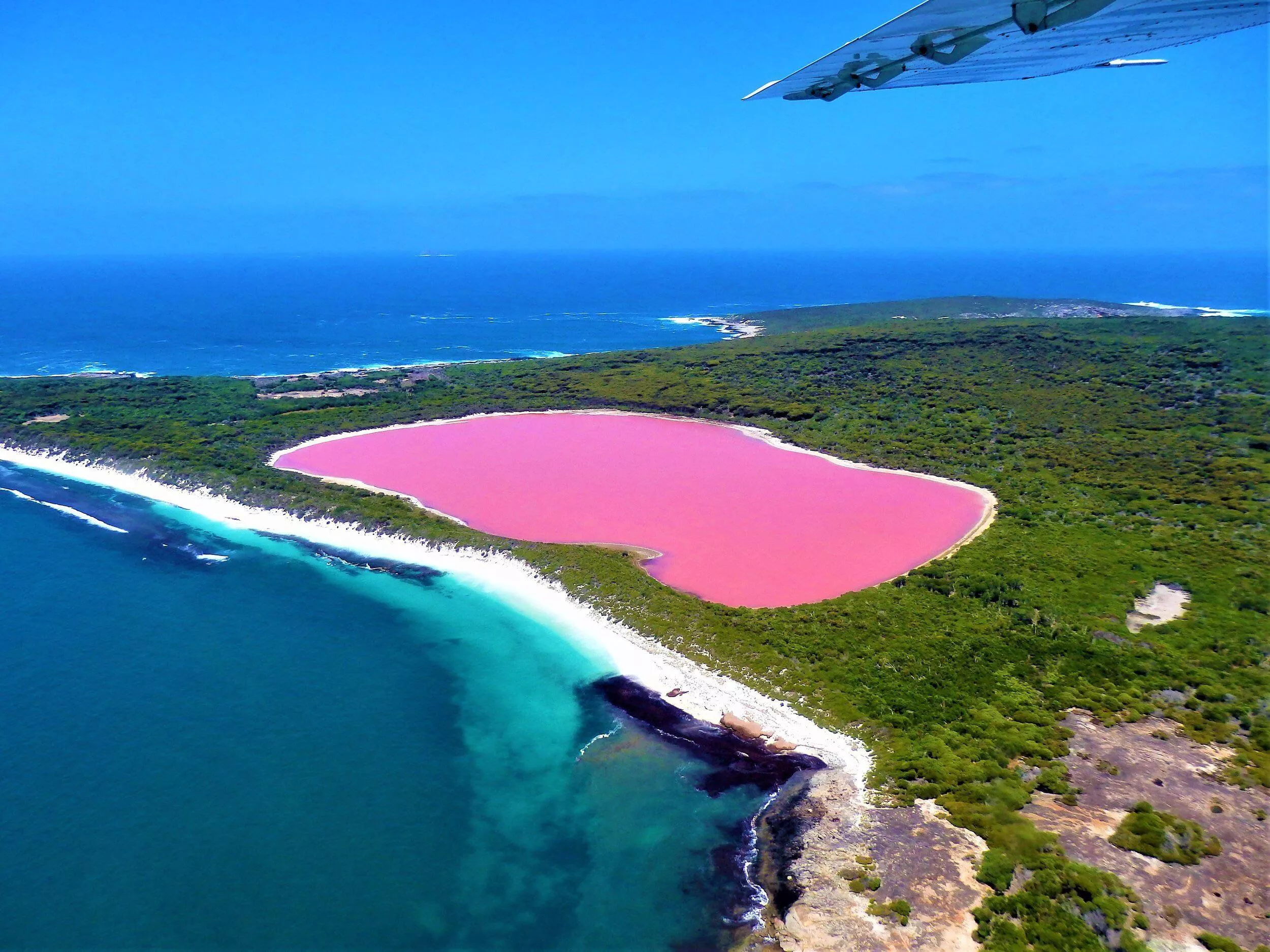 Pristine beach on Middle Island, WA posted by colapepsikinnie