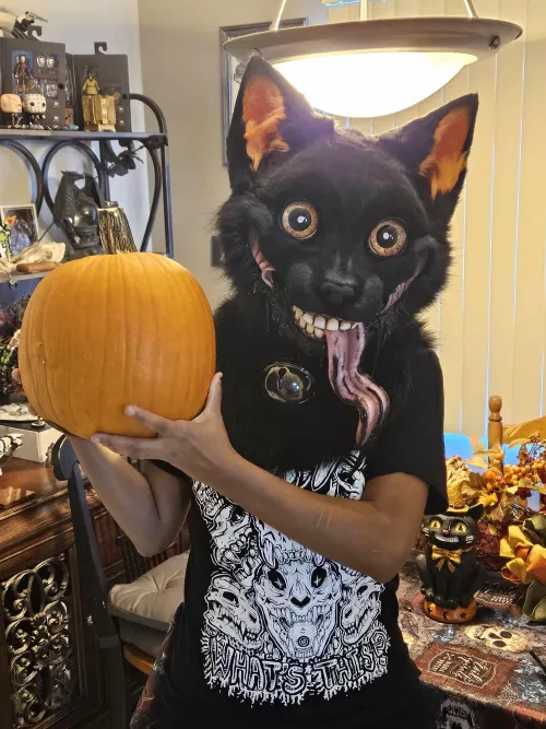 Ti's the season.🎃🐈‍⬛ by CucarBitaPepo