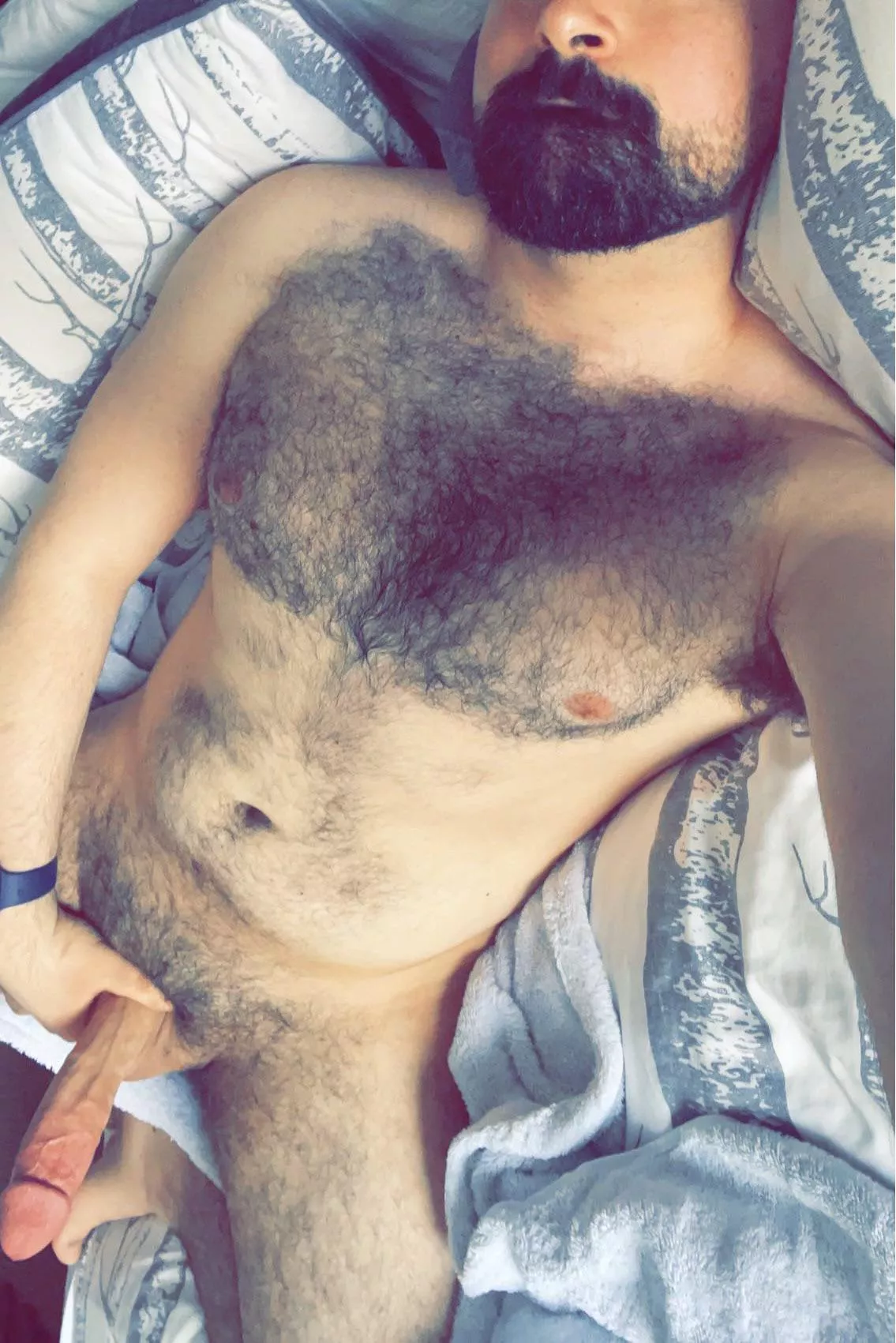 If you’re sent this picture, are you coming over? posted by FurryDaddyXXX