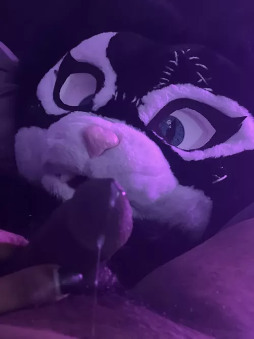 Kitty was a little excited (X/OF: KittyQuinn94)  by jrbottommeow
