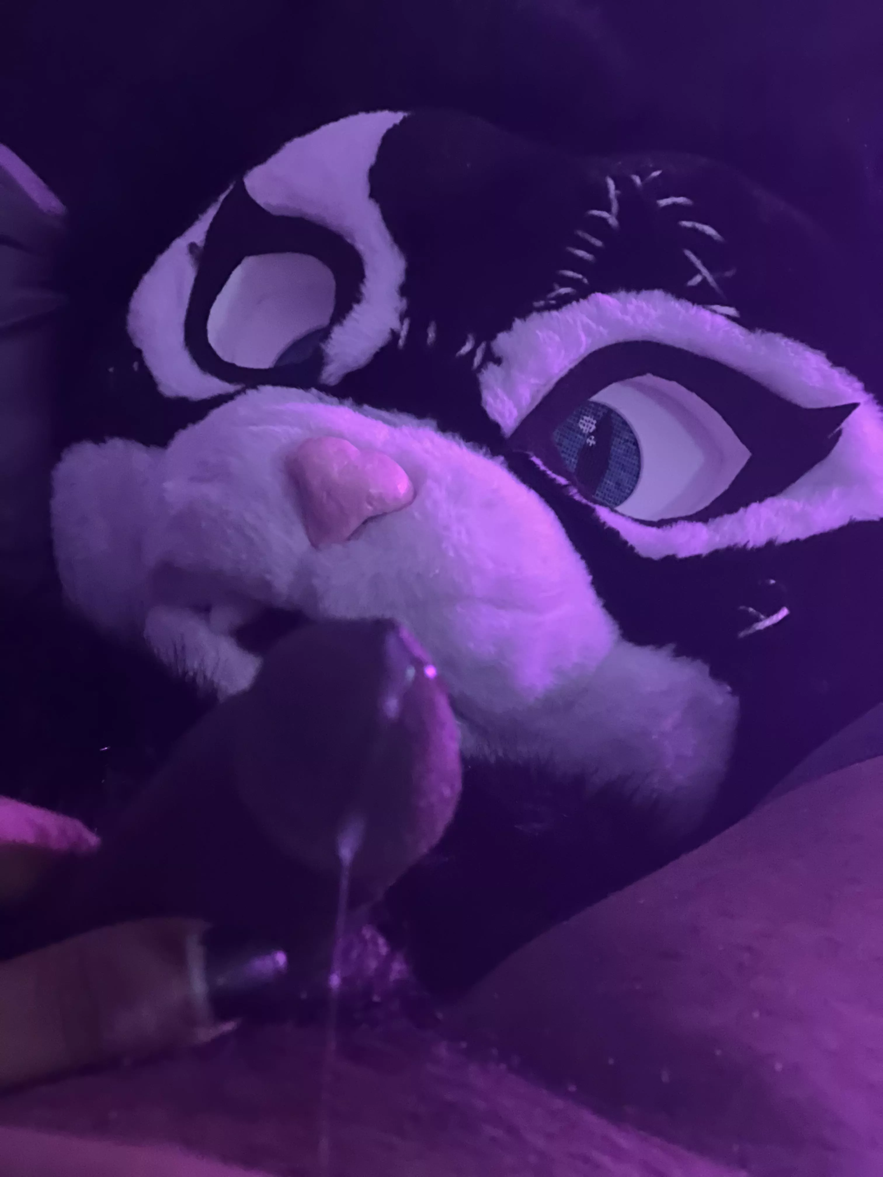 Kitty was a little excited (X/OF: KittyQuinn94)  posted by jrbottommeow