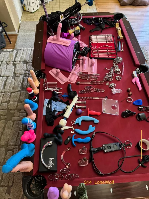 Majority of my toys laid out by 314_LoneWolf
