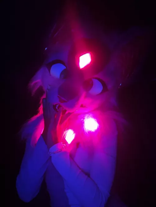 you found a glowy batcat staring at you in the dark, wyd? by hi-Dia