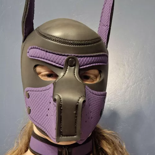 Just got my first hood, hows it look :3 by Hour-Cod3502