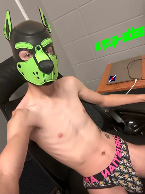 Who's Volunteering to Get Under This Desk? JockTober Day 6 by Pup-Atlas