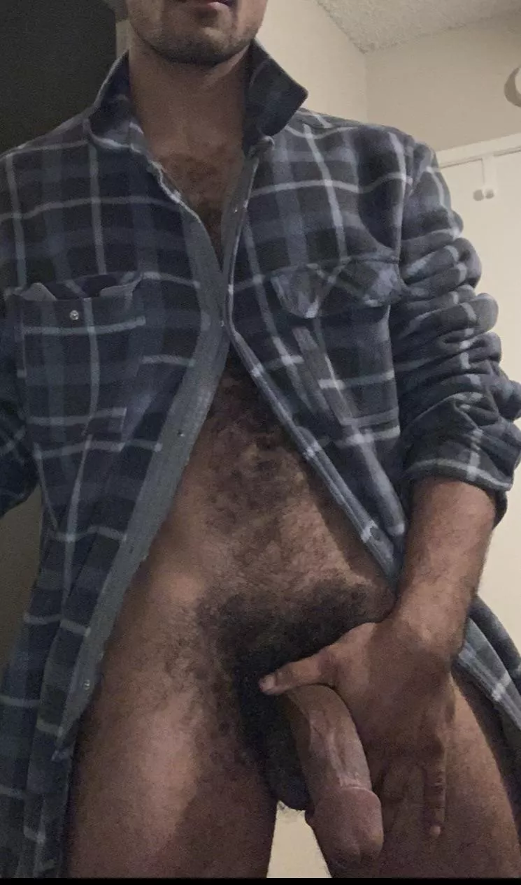 28 Oxnard posted by tanyouq