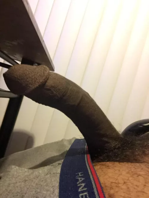 [29M] Here’s my cock, long and strong. by [deleted]