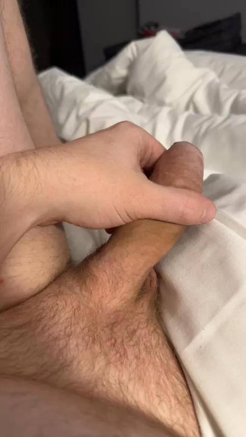 30 [M4A] #Midlands - Would love a hung guy to play with or an f to go down on! Could be both! Working away for a few days. by Wbcoop