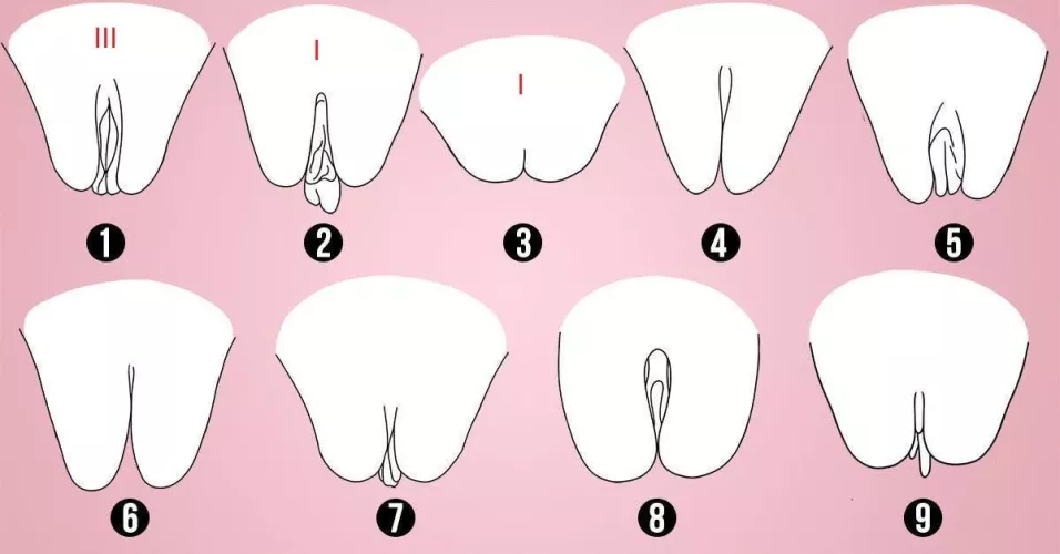 37 [M4F] 5 pussy's so far. What is your shape? Show me in a DM by No-Offer-9832