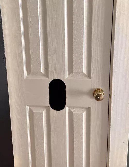 46 [m4m] #orlando - REAL WOOD GH. Best GH BJ in town. Downtown. Private Message only by Alwaysonmyknees78