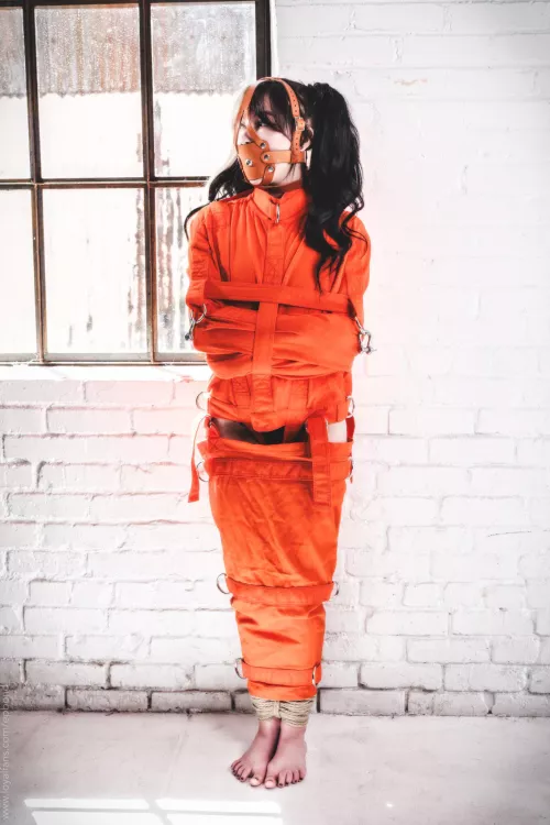 And….that’s a wrap by DPropish