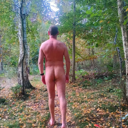 Autumn day by ImaginaryMolasses894