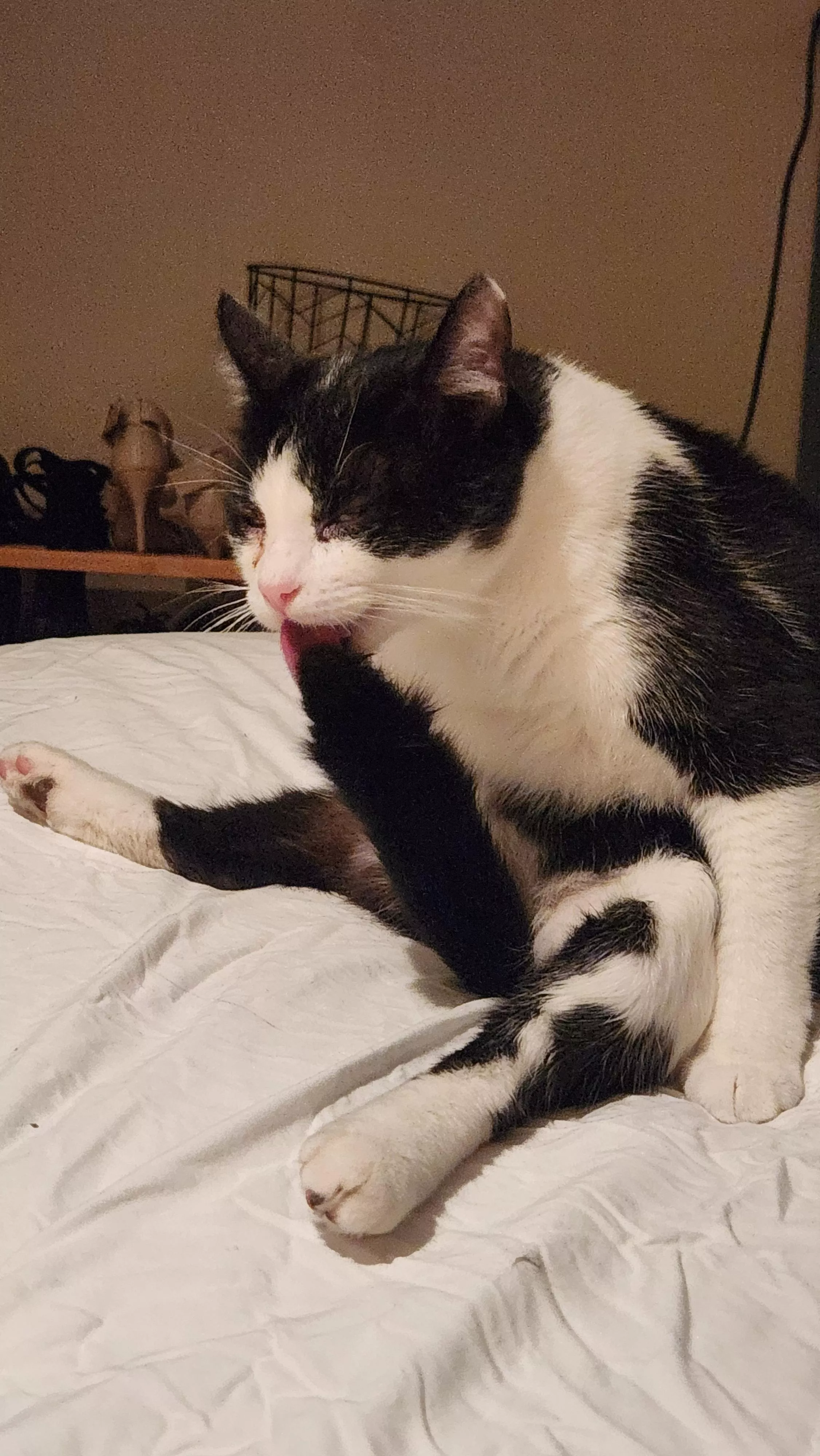 Bathti[M]e! posted by Mycatissnootsy