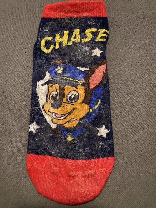 Chase is on the case by Toonsocks