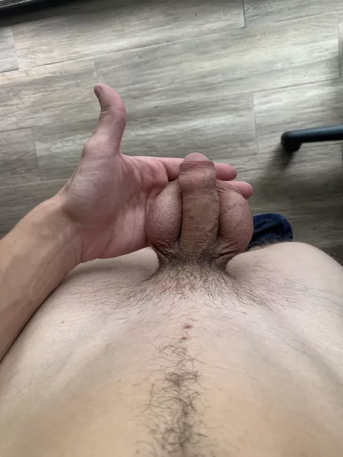 do u think it’s cute?  by goldalexx