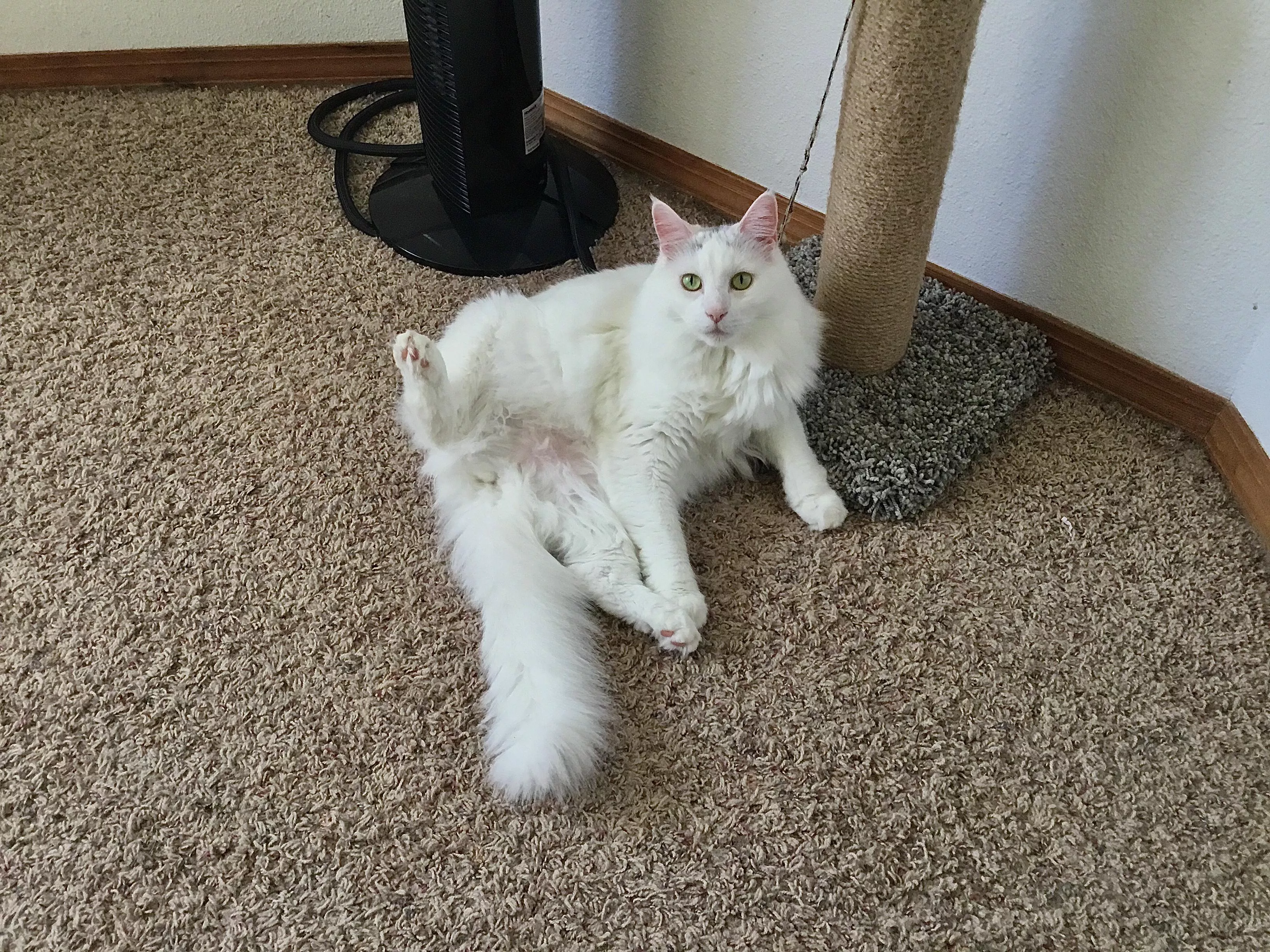 [F] Erin, Giving up the Goods posted by OwlsRwhattheyseem