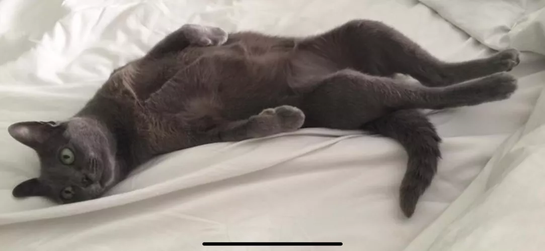 [f] Paint Me Like One of Your French Girls… by SpoiledHarlot