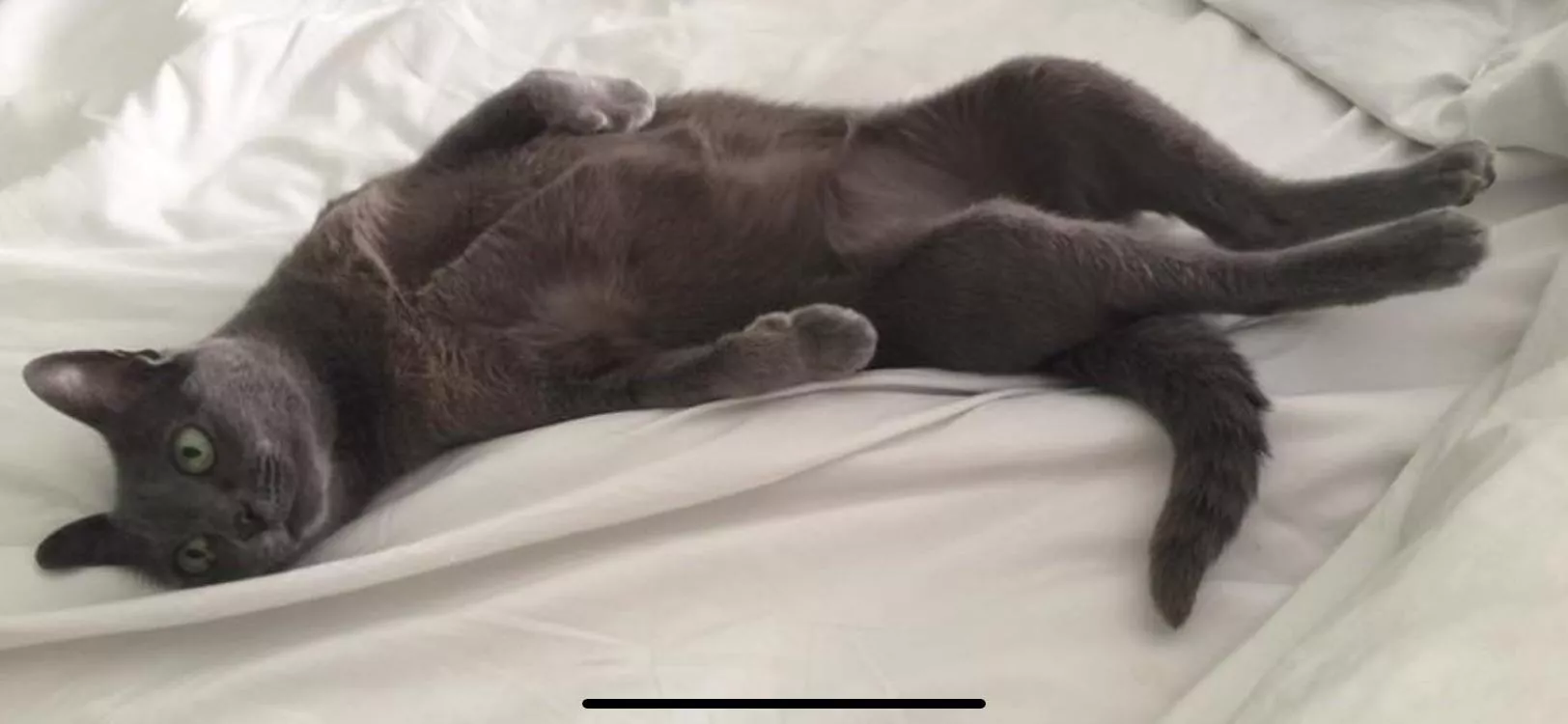 [f] Paint Me Like One of Your French Girls… posted by SpoiledHarlot