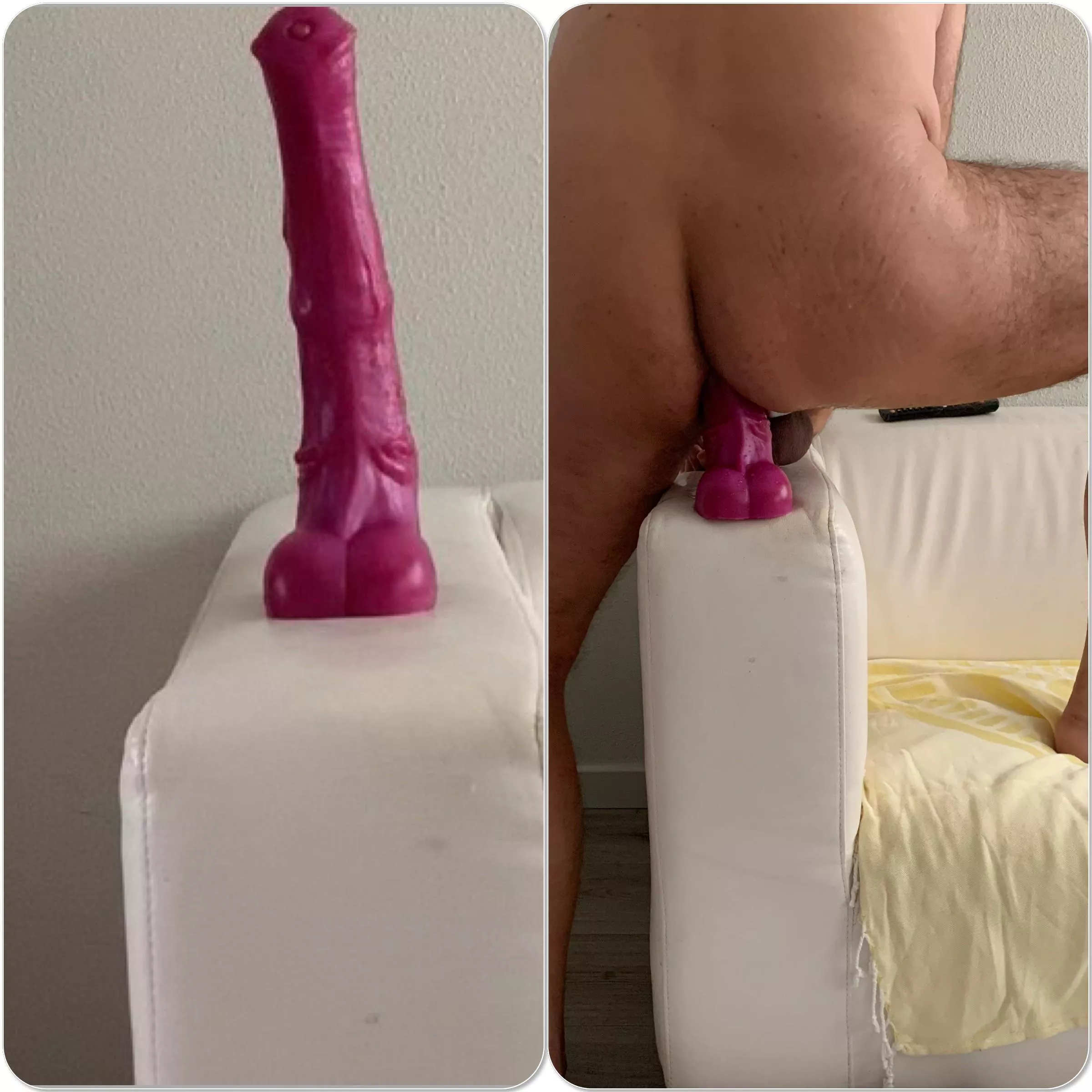First time! posted by princealbert2017