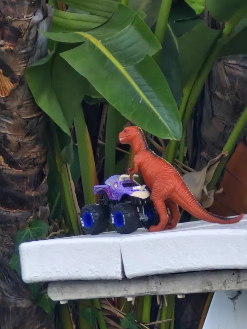 Found irl by garlicrollingpaper