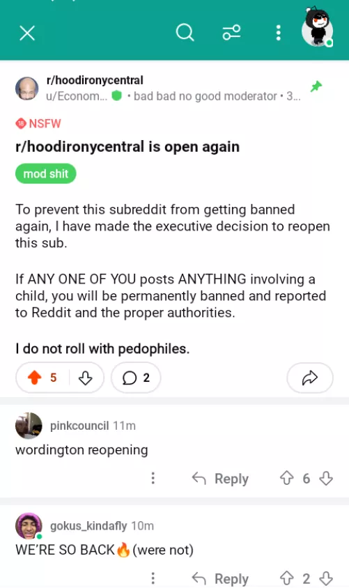 HOOD IRONY CENTRAL IS BACK by armedwii