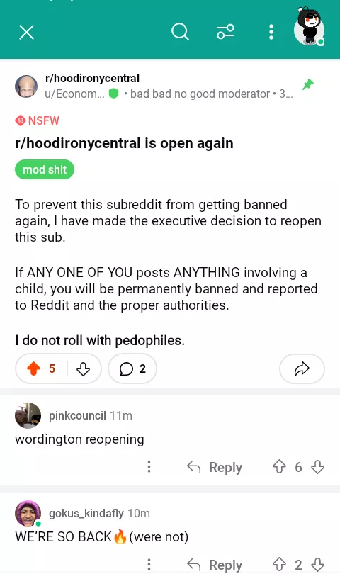 HOOD IRONY CENTRAL IS BACK posted by armedwii