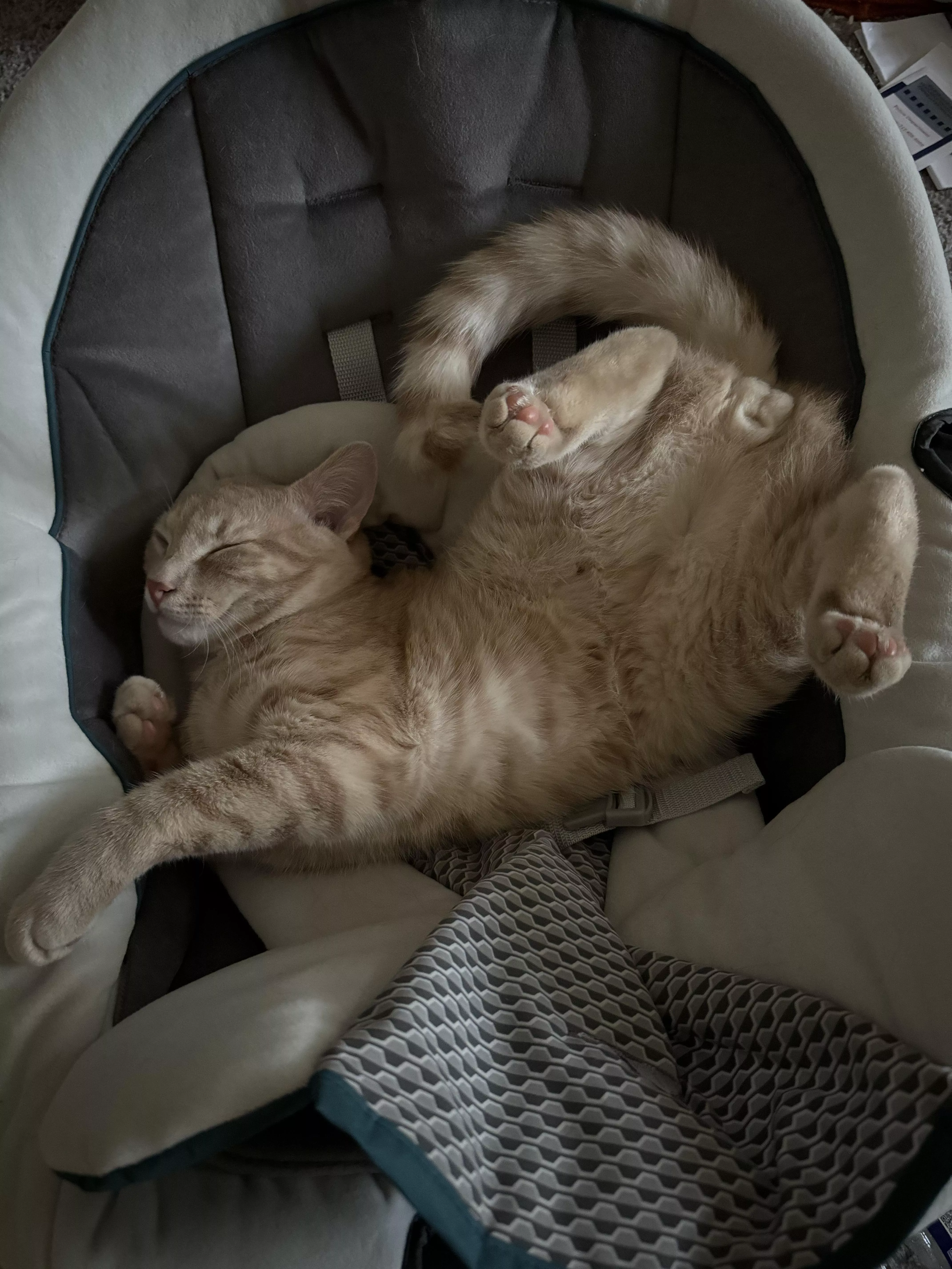 i always tell him to have some decorum [M] posted by brynnbaybee