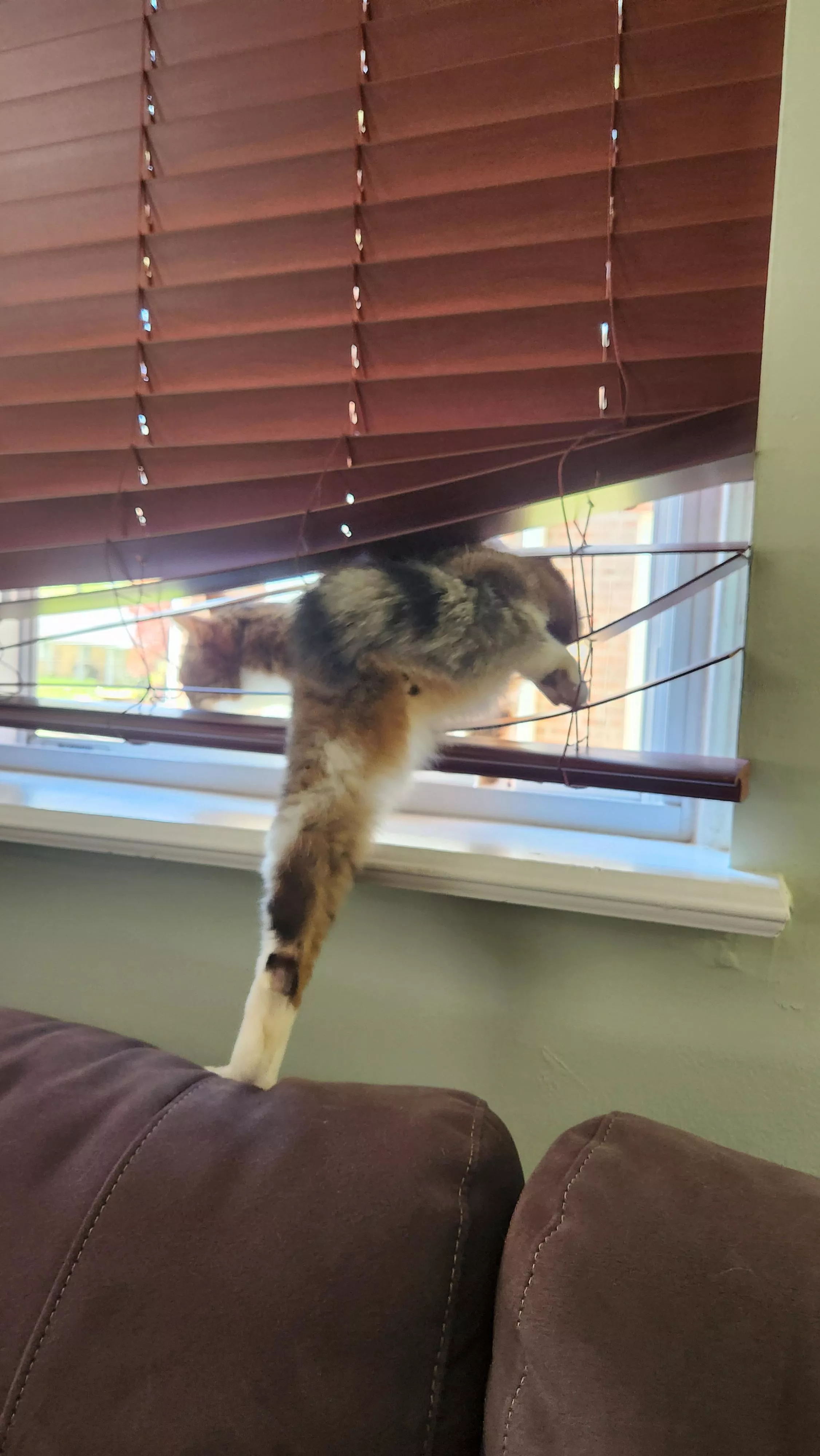 Indecency, sir! [m] posted by Regrettingly